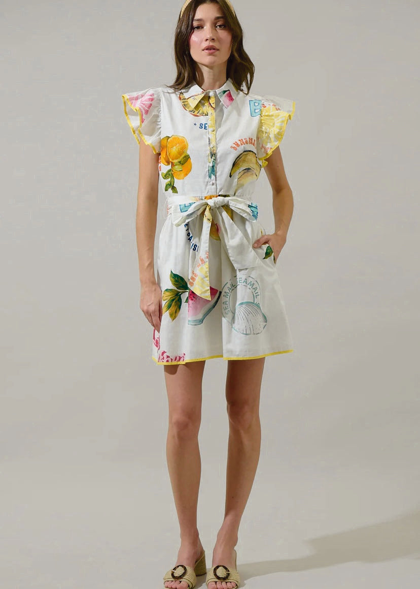 Island Ruffle Collared Mini Dress