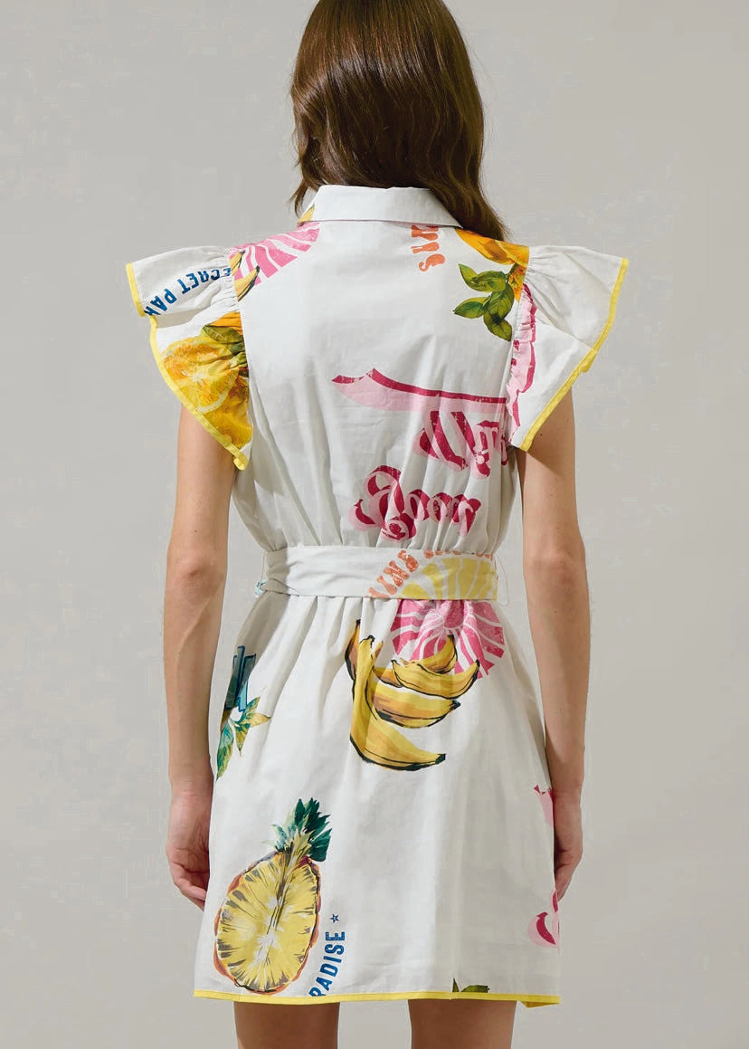Island Ruffle Collared Mini Dress