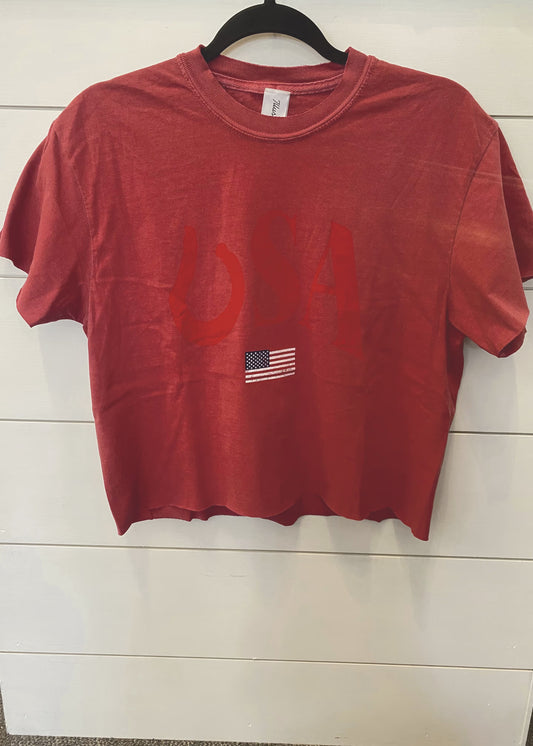 Vintage Crimson USA Crop Top