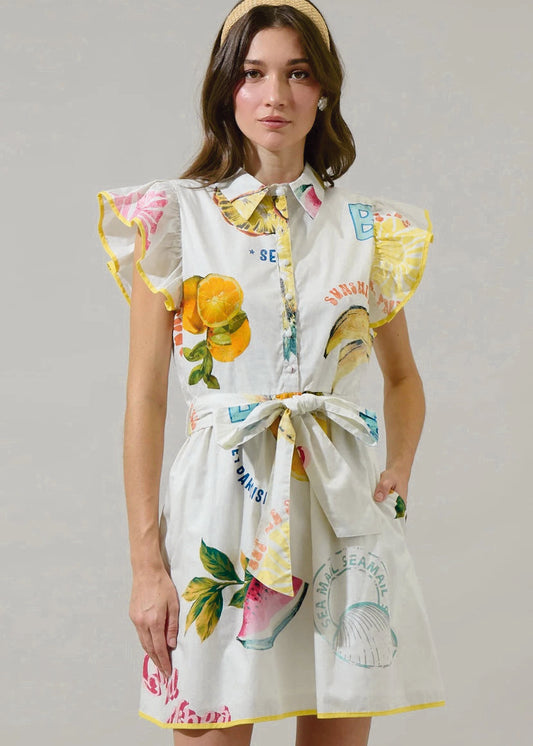 Island Ruffle Collared Mini Dress